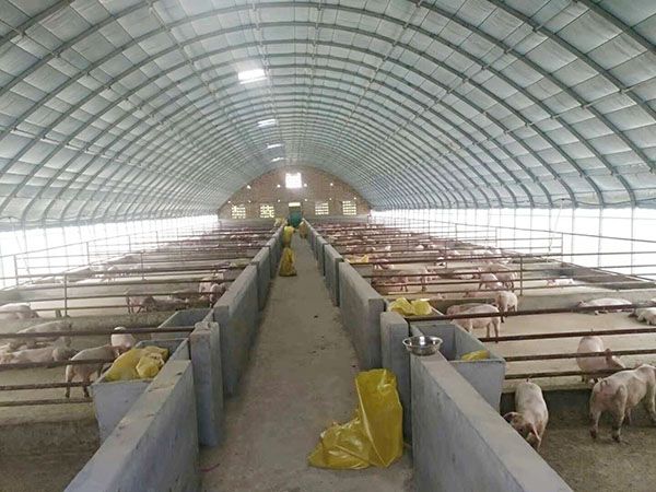 a9fe75907f886422496394de9a12a9af